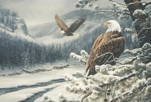Spirit of the Wild-Eagles  © Rosemary Millette